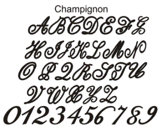 monogram wedding cake topper champignon font style