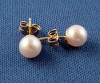14k gold akoya pearl earrings