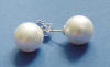 white shell pearl stud earrings