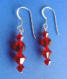 swarovski (tm) crystal earrings from our crystal station jewelry line