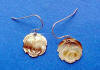 golden mother of pearl rose earrings