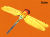 vdc garden friends dragonfly butter