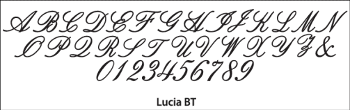 monogram wedding cake topper lucia font style