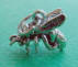 sterling silver 3-d bee charm