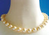 golden shell pearl necklace